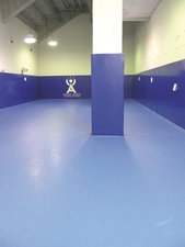 COMPLEJO DEPORTIVO DE AVILÉS (EL QUIRINAL)