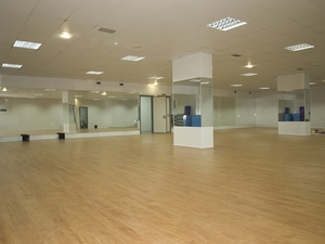 COMPLEJO DEPORTIVO DE AVILÉS (EL QUIRINAL)